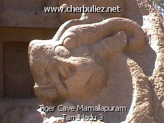 légende: Tiger Cave Mamallapuram TamilNadu 3
qualityCode=raw
sizeCode=half

Données de l'image originale:
Taille originale: 108113 bytes
Heure de prise de vue: 2002:03:13 10:36:14
Largeur: 640
Hauteur: 480
